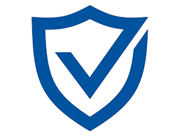 Icon representing cyber security