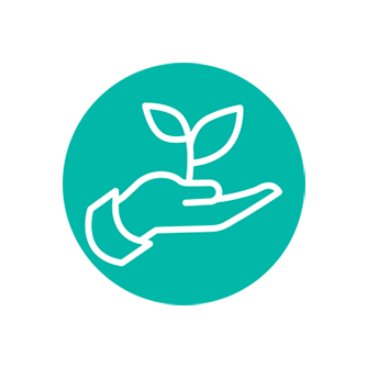 Icon of a hand holding the sapling