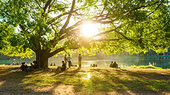 People relaxing in a park
